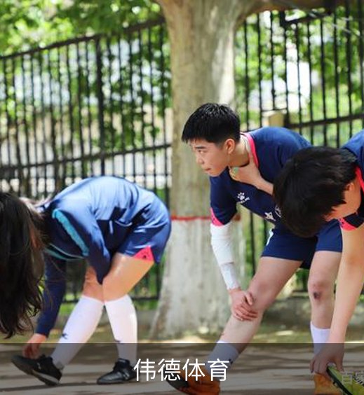 关于伟德体育